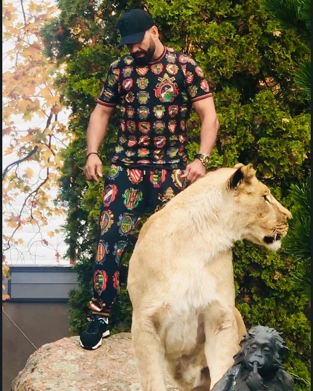 Депутат из Харькова задекларировал живого африканского льва (фото)